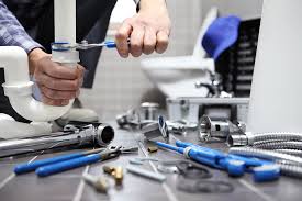 Best Pipe Inspections and Diagnostics  in Almont, MI